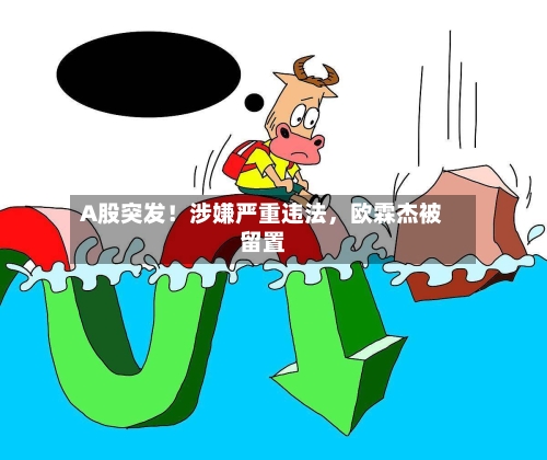 A股突发！涉嫌严重违法	，欧霖杰被留置-第3张图片