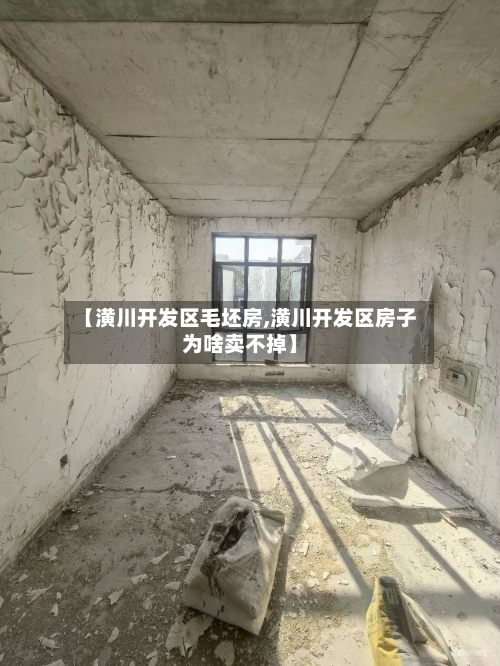 【潢川开发区毛坯房,潢川开发区房子为啥卖不掉】