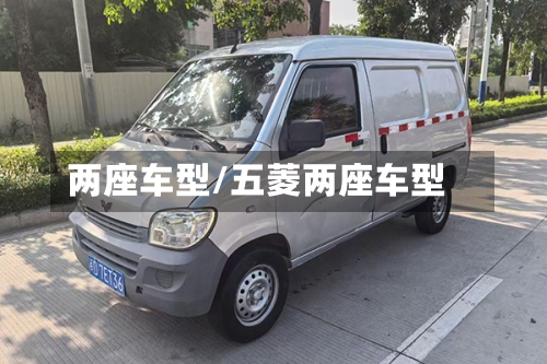 两座车型/五菱两座车型