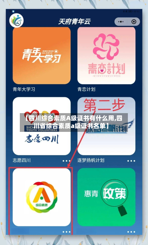 【四川综合素质A级证书有什么用,四川省综合素质a级证书名单】-第2张图片