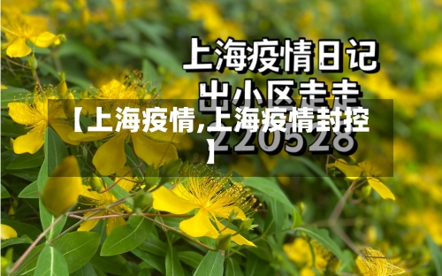 【上海疫情,上海疫情封控】