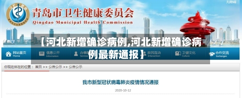 【河北新增确诊病例,河北新增确诊病例最新通报】-第2张图片
