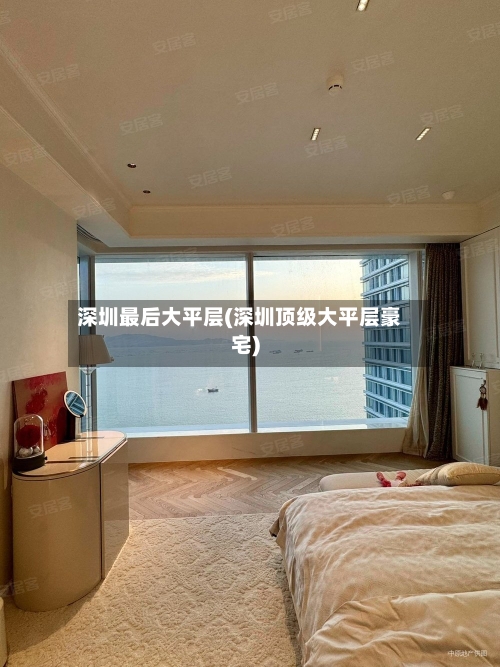 深圳最后大平层(深圳顶级大平层豪宅)-第3张图片