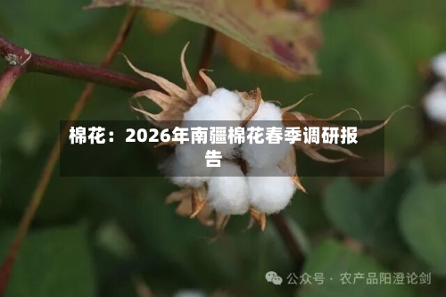 棉花：2026年南疆棉花春季调研报告