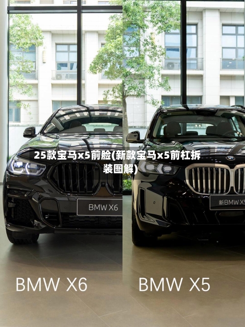 25款宝马x5前脸(新款宝马x5前杠拆装图解)-第2张图片