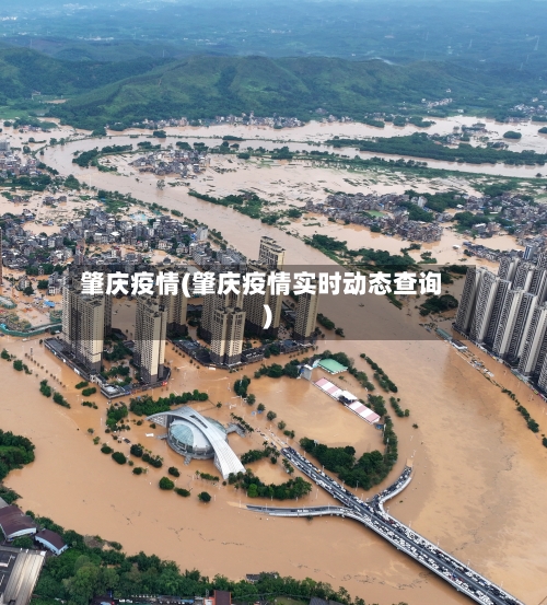 肇庆疫情(肇庆疫情实时动态查询)-第2张图片