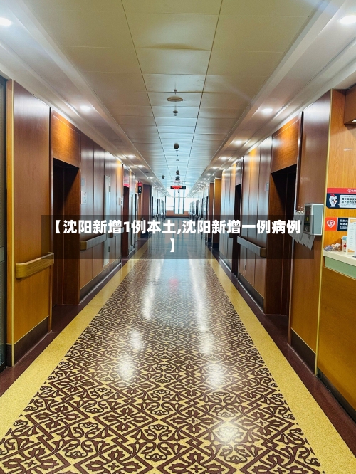 【沈阳新增1例本土,沈阳新增一例病例】-第2张图片