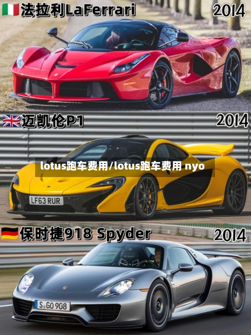 lotus跑车费用/lotus跑车费用 nyo-第3张图片