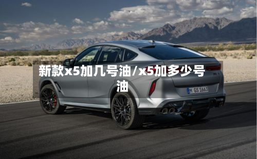 新款x5加几号油/x5加多少号油