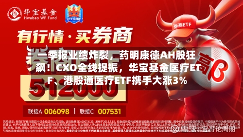 一季报业绩炸裂，药明康德AH股狂飙！CXO全线提振，华宝基金医疗ETF	、港股通医疗ETF携手大涨3%-第3张图片