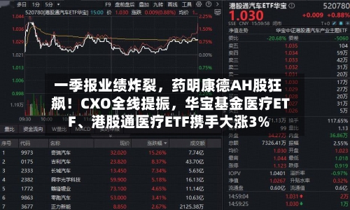 一季报业绩炸裂，药明康德AH股狂飙！CXO全线提振	，华宝基金医疗ETF、港股通医疗ETF携手大涨3%-第2张图片