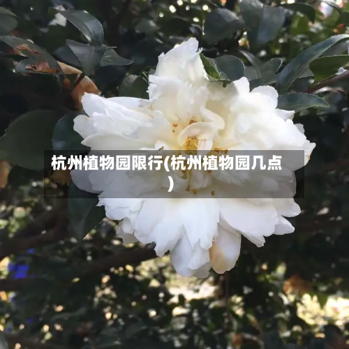 杭州植物园限行(杭州植物园几点)-第2张图片