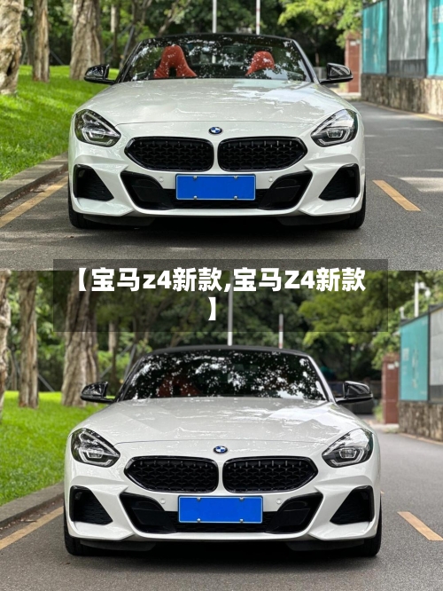 【宝马z4新款,宝马Z4新款】-第3张图片