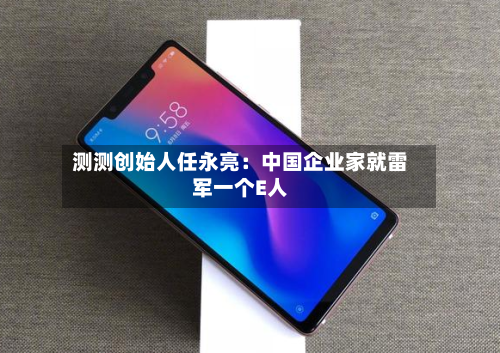 测测创始人任永亮：中国企业家就雷军一个E人