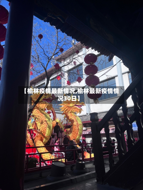 【榆林疫情最新情况,榆林最新疫情情况30日】