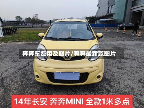 奔奔车费用及图片/奔奔最新款图片-第2张图片