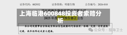 上海临港600848投资者索赔分析-第2张图片