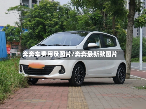 奔奔车费用及图片/奔奔最新款图片-第3张图片