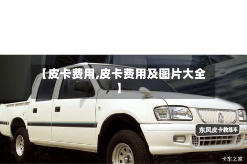 【皮卡费用,皮卡费用及图片大全】