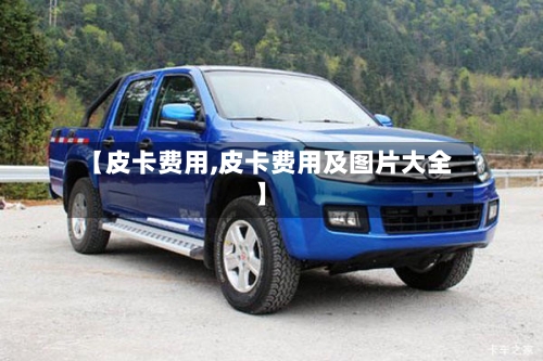 【皮卡费用,皮卡费用及图片大全】-第3张图片