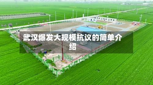 武汉爆发大规模抗议的简单介绍-第2张图片