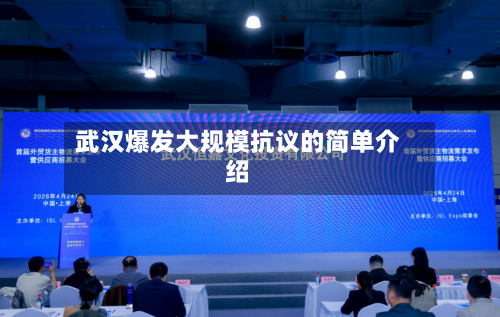 武汉爆发大规模抗议的简单介绍-第3张图片