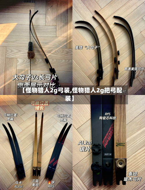 【怪物猎人2g弓装,怪物猎人2g把弓配装】-第2张图片