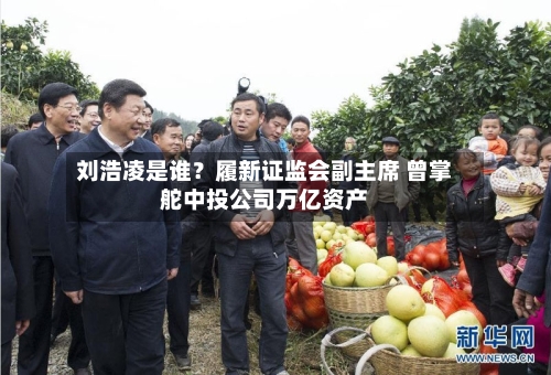 刘浩凌是谁？履新证监会副主席 曾掌舵中投公司万亿资产-第3张图片