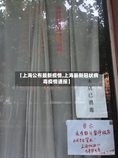 【上海公布最新疫情,上海最新冠状病毒疫情通报】-第3张图片
