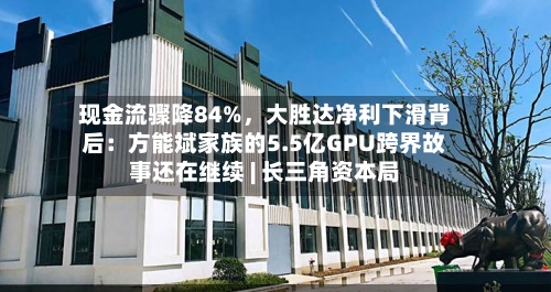 现金流骤降84%，大胜达净利下滑背后：方能斌家族的5.5亿GPU跨界故事还在继续 | 长三角资本局-第2张图片
