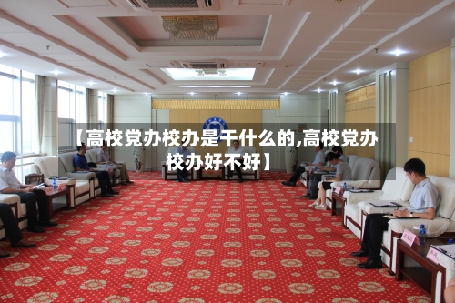 【高校党办校办是干什么的,高校党办校办好不好】