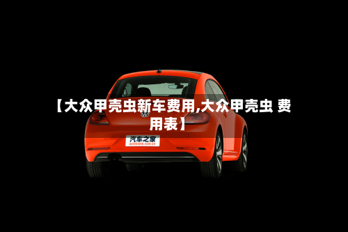 【大众甲壳虫新车费用,大众甲壳虫 费用表】