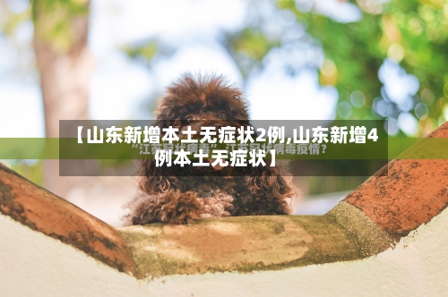 【山东新增本土无症状2例,山东新增4例本土无症状】-第3张图片