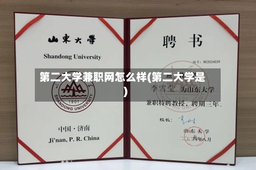 第二大学兼职网怎么样(第二大学是)-第2张图片