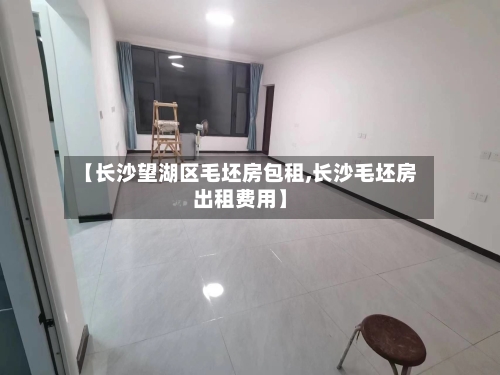 【长沙望湖区毛坯房包租,长沙毛坯房出租费用】