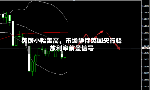 英镑小幅走高	，市场静待英国央行释放利率前景信号-第2张图片