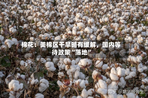 棉花：美棉区干旱略有缓解	，国内等待政策“落地”-第3张图片