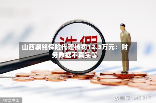 山西鼎铭保险代理被罚12.3万元：财务数据不真实等-第2张图片