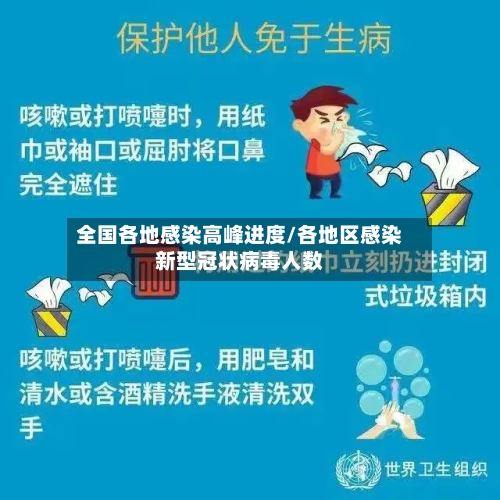 全国各地感染高峰进度/各地区感染新型冠状病毒人数
