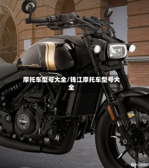 摩托车型号大全/钱江摩托车型号大全-第2张图片