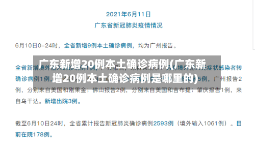 广东新增20例本土确诊病例(广东新增20例本土确诊病例是哪里的)-第3张图片