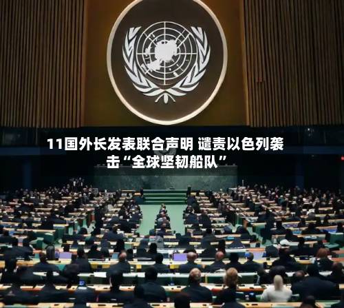 11国外长发表联合声明 谴责以色列袭击“全球坚韧船队”-第3张图片