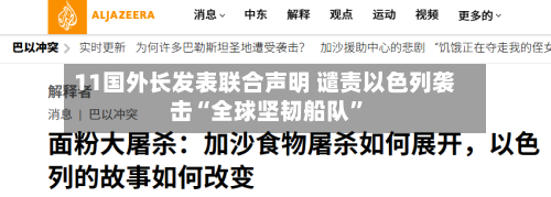 11国外长发表联合声明 谴责以色列袭击“全球坚韧船队”-第2张图片