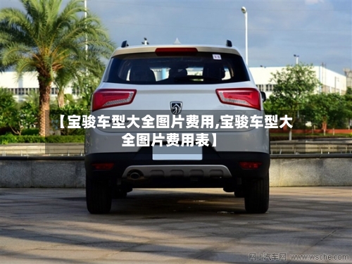 【宝骏车型大全图片费用,宝骏车型大全图片费用表】-第2张图片