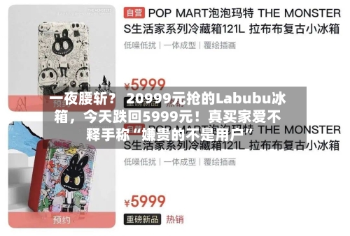 一夜腰斩？ 20999元抢的Labubu冰箱，今天跌回5999元！真买家爱不释手称“嫌贵的不是用户”-第3张图片