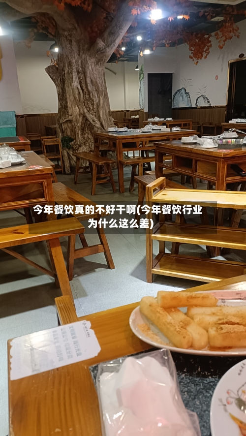 今年餐饮真的不好干啊(今年餐饮行业为什么这么差)-第2张图片