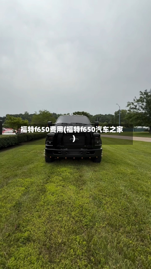 福特f650费用(福特f650汽车之家)