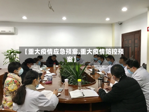 【重大疫情应急预案,重大疫情防控预案】-第2张图片