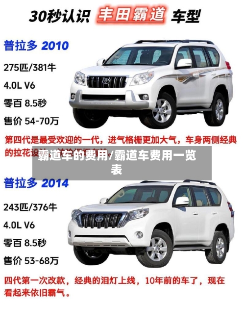 霸道车的费用/霸道车费用一览表-第2张图片