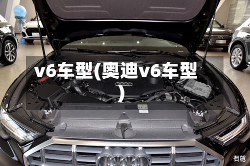 v6车型(奥迪v6车型)-第2张图片
